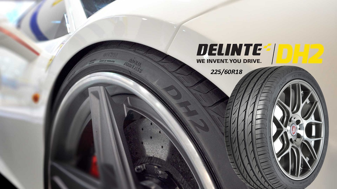 Delinte DH2 (3)